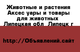 Животные и растения Аксесcуары и товары для животных. Липецкая обл.,Липецк г.